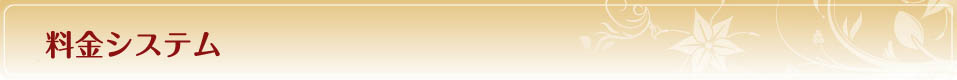 料金システム